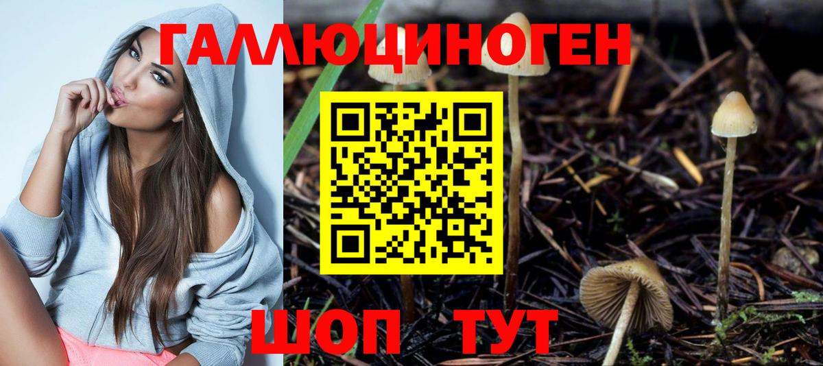 Псилоцибиновые грибы Psilocybine cubensis  Вход с VPN  Ковров  Псилоцибиновые грибы мухоморы 