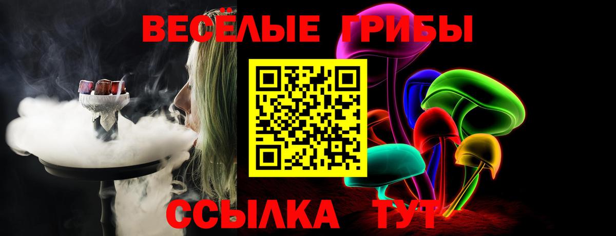 Псилоцибиновые грибы Cubensis Ковров